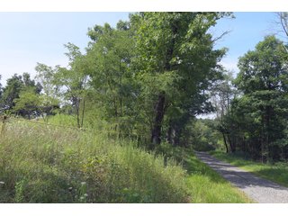 Tract 24 - Timberland & Farmland in Noble County, OH - LAND AUCTION - 12,200+/- ACRES OFFERED IN 65 TRACTS IN NOBLE COUNTY, OHIO